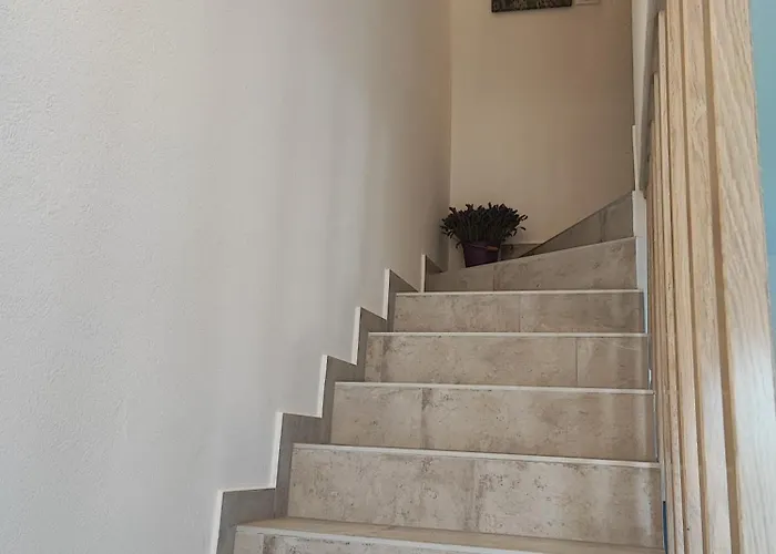 Casa vacanze Acacia House - Cres Island Orlec